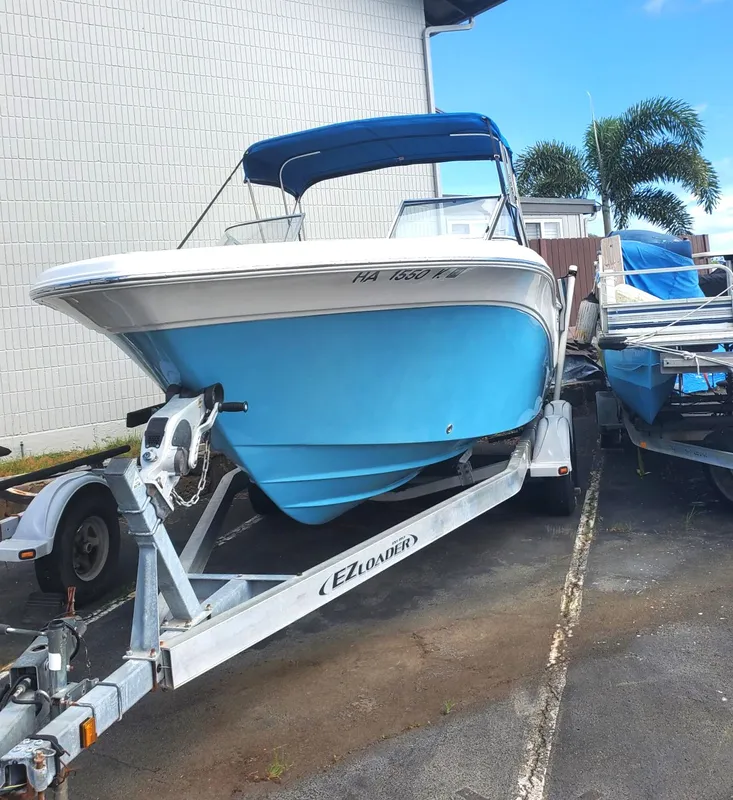 2020 Sea Fox Travelor 226