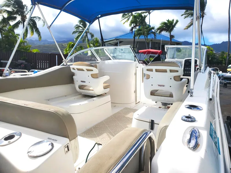 2020 Sea Fox Travelor 226