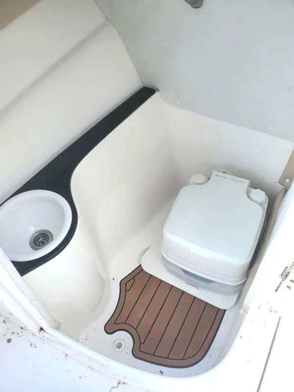 2020 Sea Fox Travelor 226