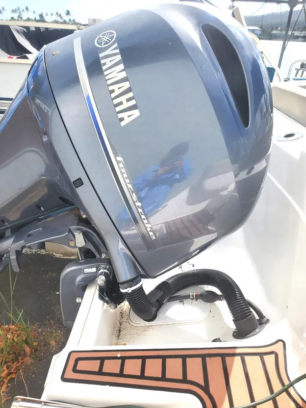 2020 Sea Fox Travelor 226