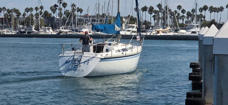 1986 Hunter 31 Sloop