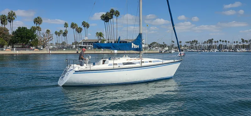 1986 Hunter 31 Sloop