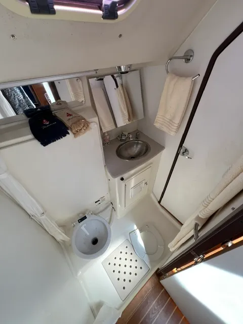 2010 Catalina 445