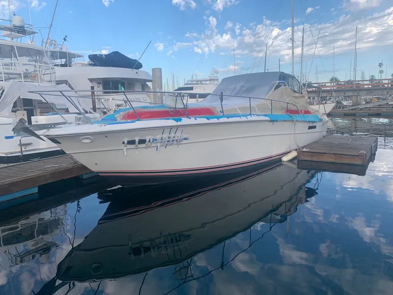 1990 Sea Ray Express