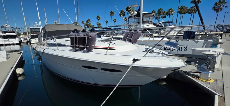 1990 Sea Ray Express