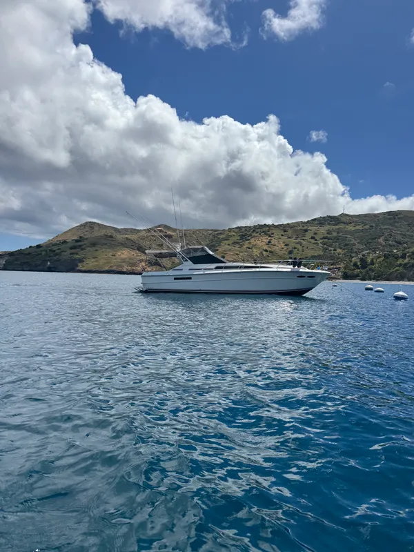 1990 Sea Ray Express